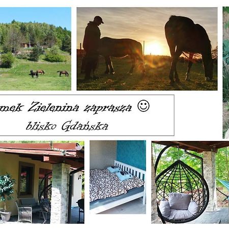 Domek Zielenina Mierzeszyn Zewnętrze zdjęcie