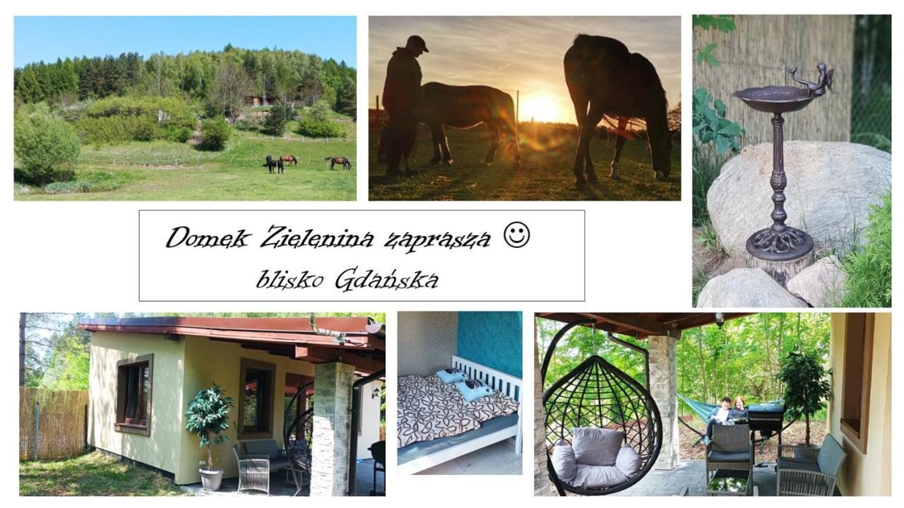 Domek Zielenina Mierzeszyn Zewnętrze zdjęcie