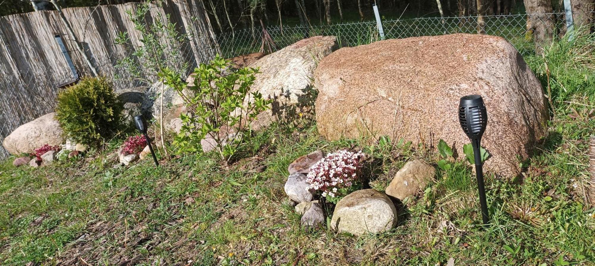 Domek Zielenina Mierzeszyn Zewnętrze zdjęcie